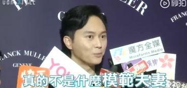 张智霖圈内人爆料视频大全,揭秘明星幕后故事  第3张