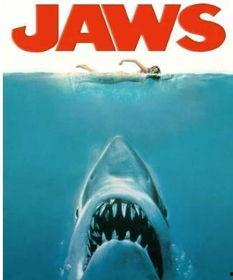 海洋爆料大白鲨事件视频,大白鲨神秘事件视频曝光  第2张