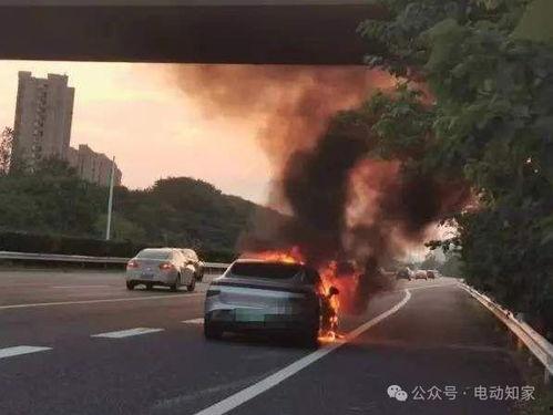 小鹏自燃爆料视频大全下载,视频大全深度解析”